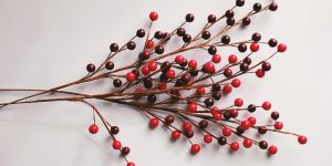 13 Aralık: Advent 13. Gün - Nihai Gerçeklik Burada