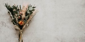 18 Aralık: Advent 18. Gün - Müjde Hizmetleri İçin Doğuş Modeli