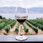 11 Nisan: Yüce Kral’ın Şarabı